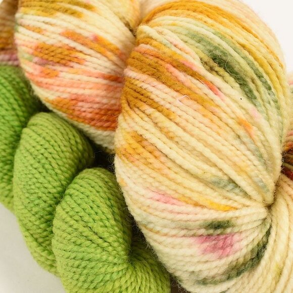 Chelsea Luxe Coop Sock Yarn Set Superwash Merino Nylon 400 Yds Angel Colorway - Picture 2 of 3